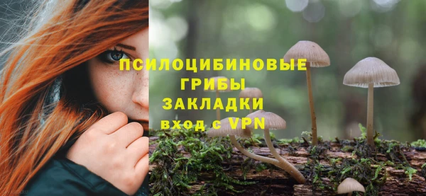 не бодяженный Нязепетровск