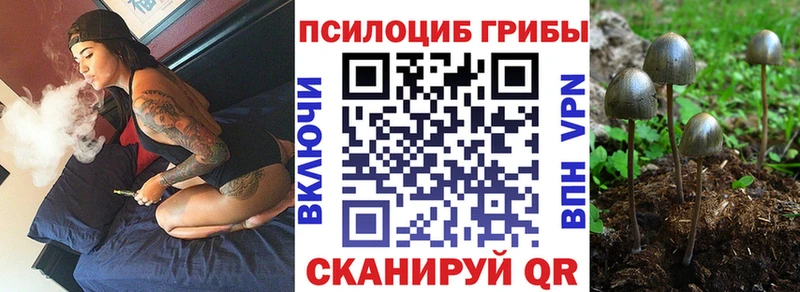 Галлюциногенные грибы ЛСД  Купить где  Харабали 